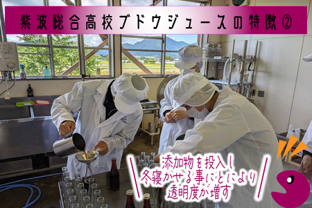 ＼紫波の高校生が作りました！／紫波町産 ぶどうジュース 300ml 2本入り (EC001) 紫波総合高校の生徒たちが育てたぶどうを使ったフレッシュな味わいのぶどうジュース♪