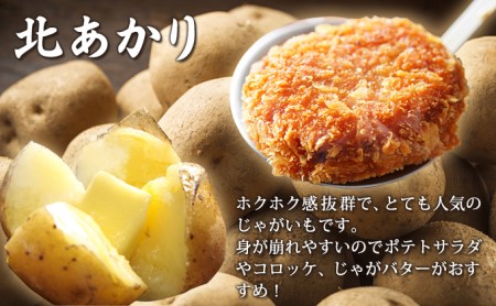【2026年10月発送】富良野産 野菜 10kgセット じゃがいも ＆ 玉ねぎ ＆ かぼちゃ 3種 詰め合わせ