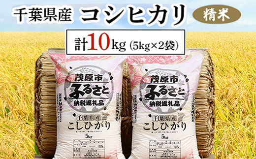 令和6年産 千葉県産コシヒカリ 精米 10kg(5kg×2袋) MBAD001