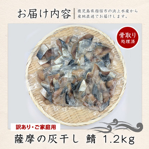 【訳あり・家庭用】薩摩の灰干し 鯖 1.2kg (浜上水産/IB038-006)  魚 干物 骨取り 骨なし 鯖 サバ 灰干し 国産
