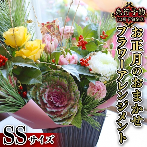 【 お正月 の お花 】 お花 おまかせ ＊ フラワー アレンジメント SS お正月 花 生花 縁起物 フラワーアレンジメント ギフト [CT107ci]
