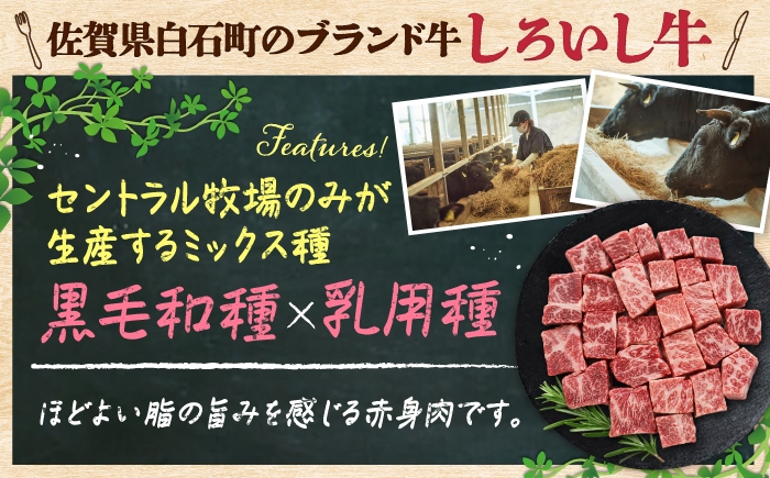 焼きやすく、食べやすい！お子さんに人気のサイコロステーキ