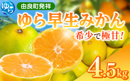 ゆら 早生 みかん 4.5kg ※2025年10月中旬～順次発送【kzmn005】