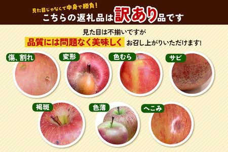 【26年4月発送】りんご 平均糖度13度以上！ シナノゴールド 約5kg 訳あり CA貯蔵 クール便 青森 果物 フルーツ 林檎 リンゴ くだもの 不揃い 規格外