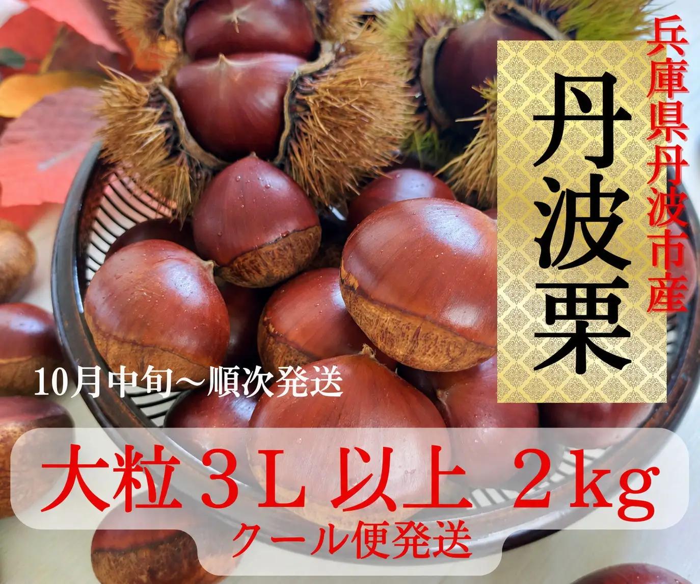 丹波栗 3L以上 2kg 〈丹波市産〉 大粒栗 果物