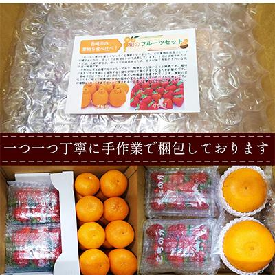 ふるさと納税 長崎市 【発送月固定定期便】旬のフルーツセット 季節により厳選した果物を1〜2品目　詰め合わせ全12回 |  | 02