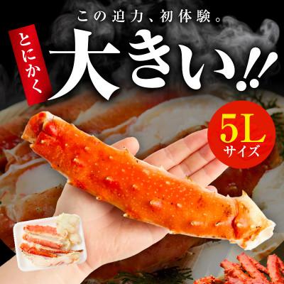 ふるさと納税 泉佐野市 大型ボイルタラバガニ 1kg 5Lサイズ カット済み 訳あり 規格外 G1783 |  | 01