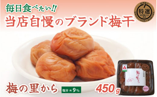 梅の里から450g / 田辺市 紀州南高梅 南高梅 梅干し 梅干 梅 ご飯のお供【ing015-1】