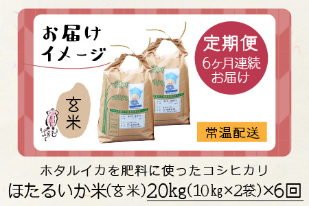 【先行予約】【新米】ほたるいか米（玄米20kg）×6回 計120kg【6ヶ月定期便】25年10月開始 
