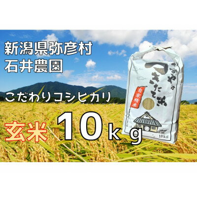 【ふるさと納税】新潟県弥彦村石井農園　令和7年産コシヒカリ【玄米 10kg】_新潟県産 玄米 お米 こしひかり こめ コメ 10キロ 弥彦村産【1508846】
