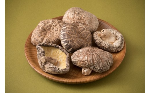 まさに森のアワビ！ステーキ用肉厚乾し椎茸/香菇240g（1085Z）_イメージ3