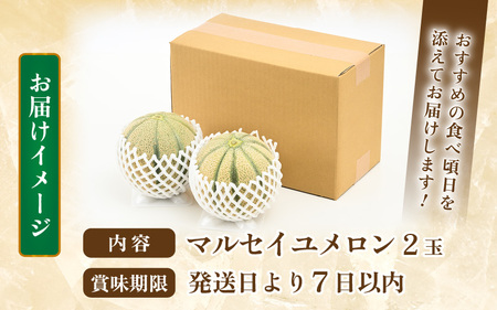 【先行予約】マルセイユメロン 2玉 約2.4kg（約1.2kg以上×2玉）大人気の赤肉品種！高級メロンの味わい ／ 果物 フルーツ ギフト 農家直送 ※2025年6月上旬以降順次発送  [aw065-