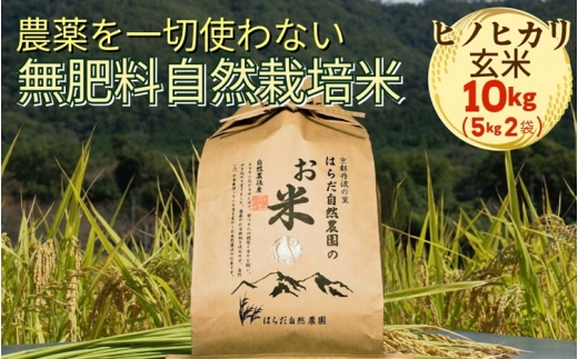 米 令和7年産 自然栽培米 ヒノヒカリ ＜農薬を一切使わない無肥料栽培＞ 玄米10kg（5kg×2） 《京都丹波産 最高良食味 人気品種》