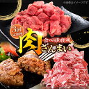 【ふるさと納税】【3回定期便】肉ざんまい定期便 一人暮らし 少量 /黒毛和牛 牛肉 バラエティー 定期 個梱包ハンバーグ【川崎畜産】[IAX047]