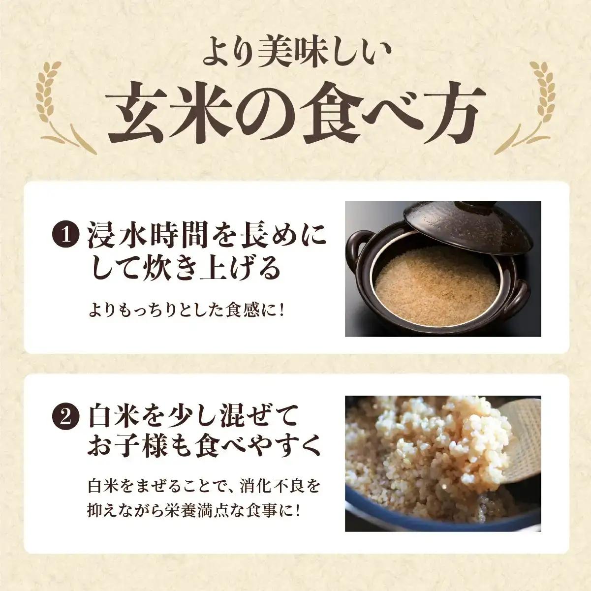 新米予約〈スピード出荷〉減農薬 特A 玄米 丹波篠山産 特別栽培米 こしひかり 10kg 小分け