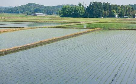 【期間限定】純米吟醸酒 開拓のうた 矢吹町 オリジナル 日本酒 720ml 2本セット F6U-314