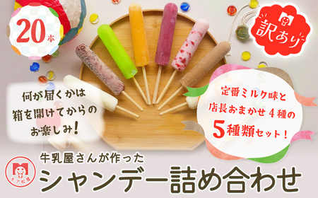 《予約受付》訳あり アイスキャンディー おまかせ5種 20本 冬季限定 創業70年以上 モア松屋 保存料不使用 卵不使用 シャンデー