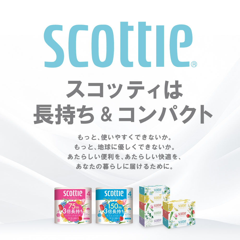 【定期便3回】【毎月1回お届け】【スコッティ】ティシュー フラワーボックス 250組（5箱パック×1セット・3箱パック×1セット）＋フラワーパック 3倍長持ち（4ロール(シングル)パックx2セット）テ
