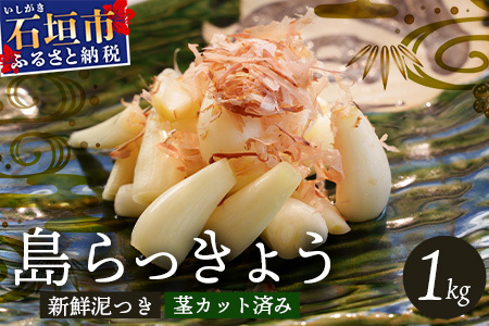 石垣島産 島らっきょう1000g 《2025年3月上旬～順次発送予定》 ｜沖縄 石垣 野菜 らっきょう 島らっきょう 産地直送 1kg SI-101