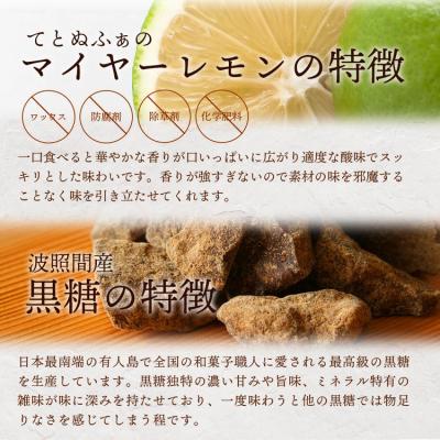 ふるさと納税 石垣市 【先行受付】<2026年10月〜12月順次発送> 黒糖レモン生シロップと果肉入りの120ml×各1本 |  | 03