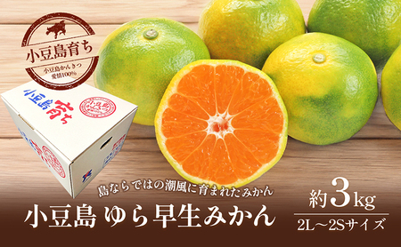 ゆら早生みかん 小豆島産 柑橘 フルーツ ゆら早生みかん【約3kg】