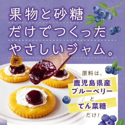 ブルーベリージャム 250g×4個