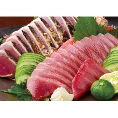 ふるさと納税 高知市 土佐料理司 一本釣り とろ鰹の刺身・鰹たたきセット【AD023】