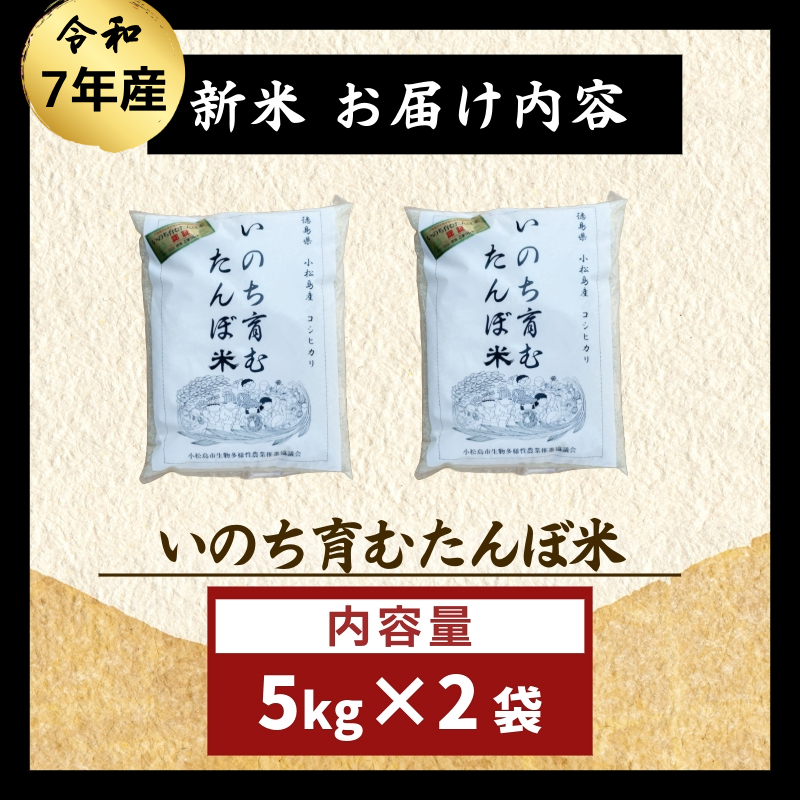 令和7年産 米 八分づき米 5kg 栽培期間中農薬不使用 米 玄米 お米 コメ こしひかり コシヒカリ ※ okome kome おむすび おにぎり 徳島県産 精米 徳島県 小松島市 