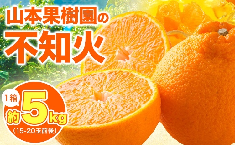 不知火 約5kg 1箱 15-20玉前後 山本果樹園《2月末-5月末頃出荷予定》しらぬい 熊本県 氷川町 柑橘---sh_ymtsni_ec25_r7_15000_5kg---