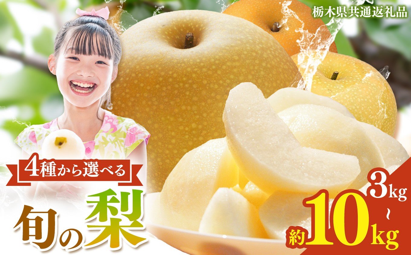
                  栃木県産 梨 選べる 幸水 豊水 秋月 にっこり【2026年先行予約】| 3kg 5kg 10kg こうすい ほうすい あきづき なし ナシ 完熟 果物 フルーツ プレゼント ご褒美 お取り寄せ 贈答 おいしい ジューシー 数量 限定 栃木県産 栃木県 真岡市 減農薬 送料無料
                