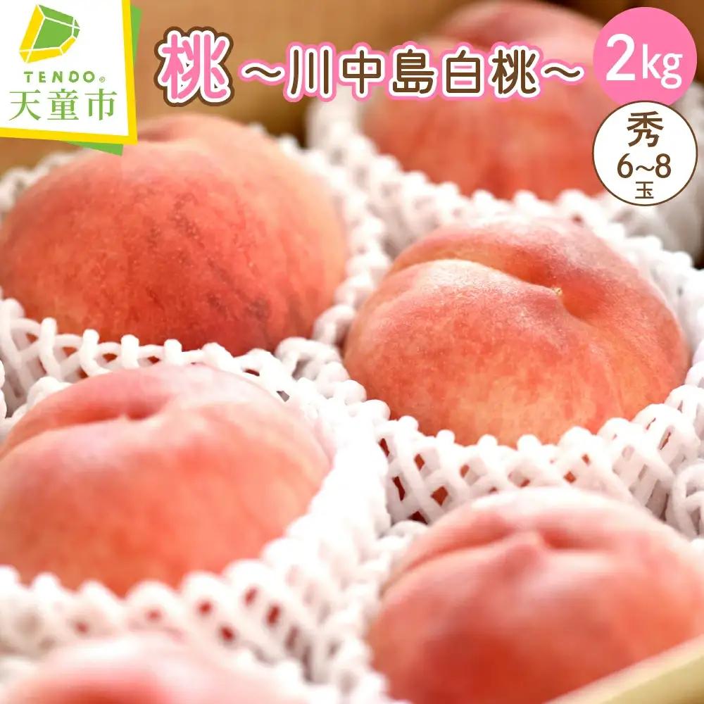 もも 川中島白桃 2kg 大玉 桃 山形