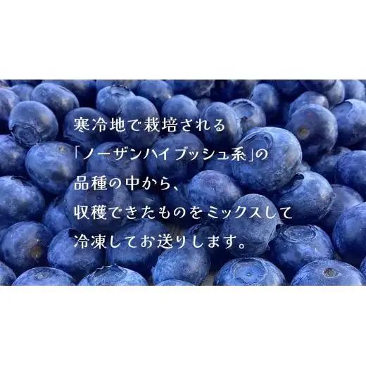 【 最短 7日以内 発送 】 冷凍 ブルーベリー 小玉 500g	【 化学肥料 農薬 使わずに栽培 】 数量限定 小粒 国産 フルーツ スムージー 果物 くだもの 農家直送 スイーツ アイス ノーザン