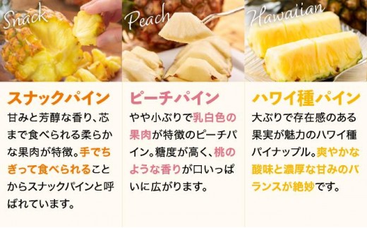 【訳あり】 石垣島産 パイナップル 詰め合わせ 約8kg (6～20個)《2026年5月から順次発送》 KP-16