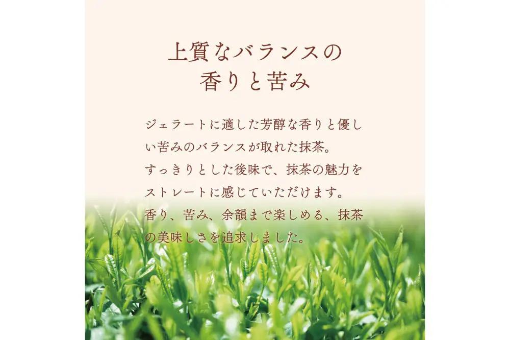 ジェラート ジェラテリア TiG（ティグ）イタリアンジェラート 京抹茶 2000ml (2L) 大容量 無着色 無香料 秋田 美郷町