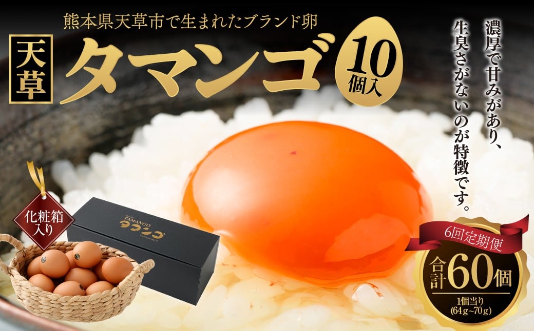 
            熊本県天草市で生まれたブランド卵「天草タマンゴ」10個入 ／ 化粧箱×6回 計60個 化粧箱入 【6ヶ月連続定期便】 卵 たまご タマゴ 生卵 生たまご 卵黄 卵 定期便 6回 熊本県 天草市 
          