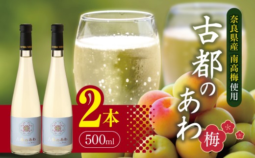 古都のあわ～梅～ スパークリングワイン500ml×2本 |  お酒 酒 おさけ スパークリング 梅 南高梅 梅シロップ ワイン 奈良県 五條市 お祝い ギフト 人気 おすすめ お試し おすすめ 送料無料 お試し 株式会社泉屋 アルコール 飲料 フルーティー