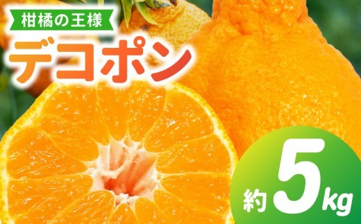 S053-003_天草産 デコポン 5kg〈先行受付〉