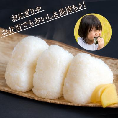 ふるさと納税 小松市 令和7年産 コシヒカリ 精米 5kg 冷めても美味しい小松市産のお米 |  | 02