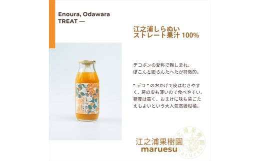 小田原産江之浦みかんジュース5種のみくらべ10本セット うんしゅう・しらぬい・ゴールデン・なつみ・バレンシアオレンジ100%ストレートジュース180ml各2本合計10本