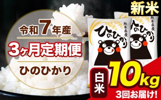 新米 令和7年産 【3ヶ月定期便】 ひのひかり 白米 10kg 5kg×2袋 計3回お届け 熊本県産 白米 精米 荒尾市 ひの《11月から出荷開始》