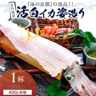 ふるさと納税 京丹後市 京丹後産『海の京都』の逸品!活白イカ姿造り(クリスタル白いか)大大サイズ 1杯(400g前後) 冷凍