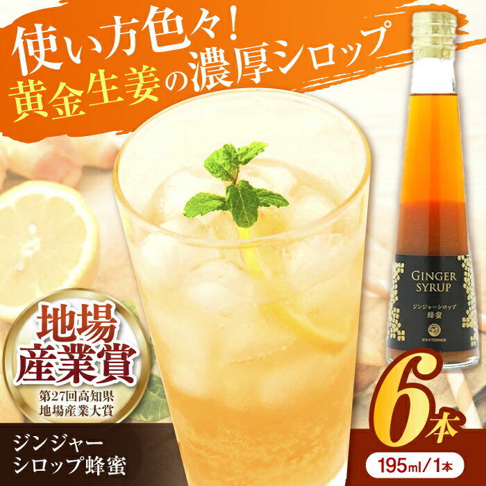 【ふるさと納税】ジンジャーシロップ蜂蜜 6本 / 土佐生姜 ほっこりジンジャー【はるのTERRACE】[ATAV007]