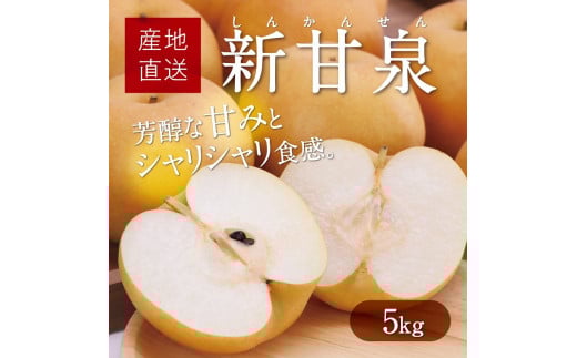 
            新甘泉 5kg【たにがみ農園】
          