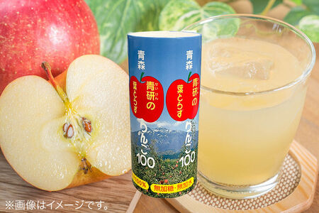  青研りんごジュース【葉とらずりんご100】195g 30本入 1箱 セット カートカン りんご リンゴ 林檎 ジュース りんごジュース リンゴジュース 飲み物 飲料 果実飲料 フルーツ 果物 くだも