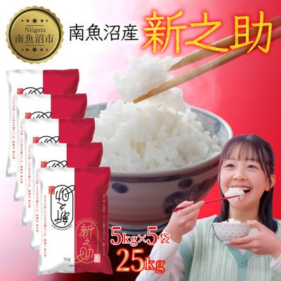 ふるさと納税 南魚沼市 【令和7年産】南魚沼産 新之助 25kg 精米 新潟県 南魚沼市