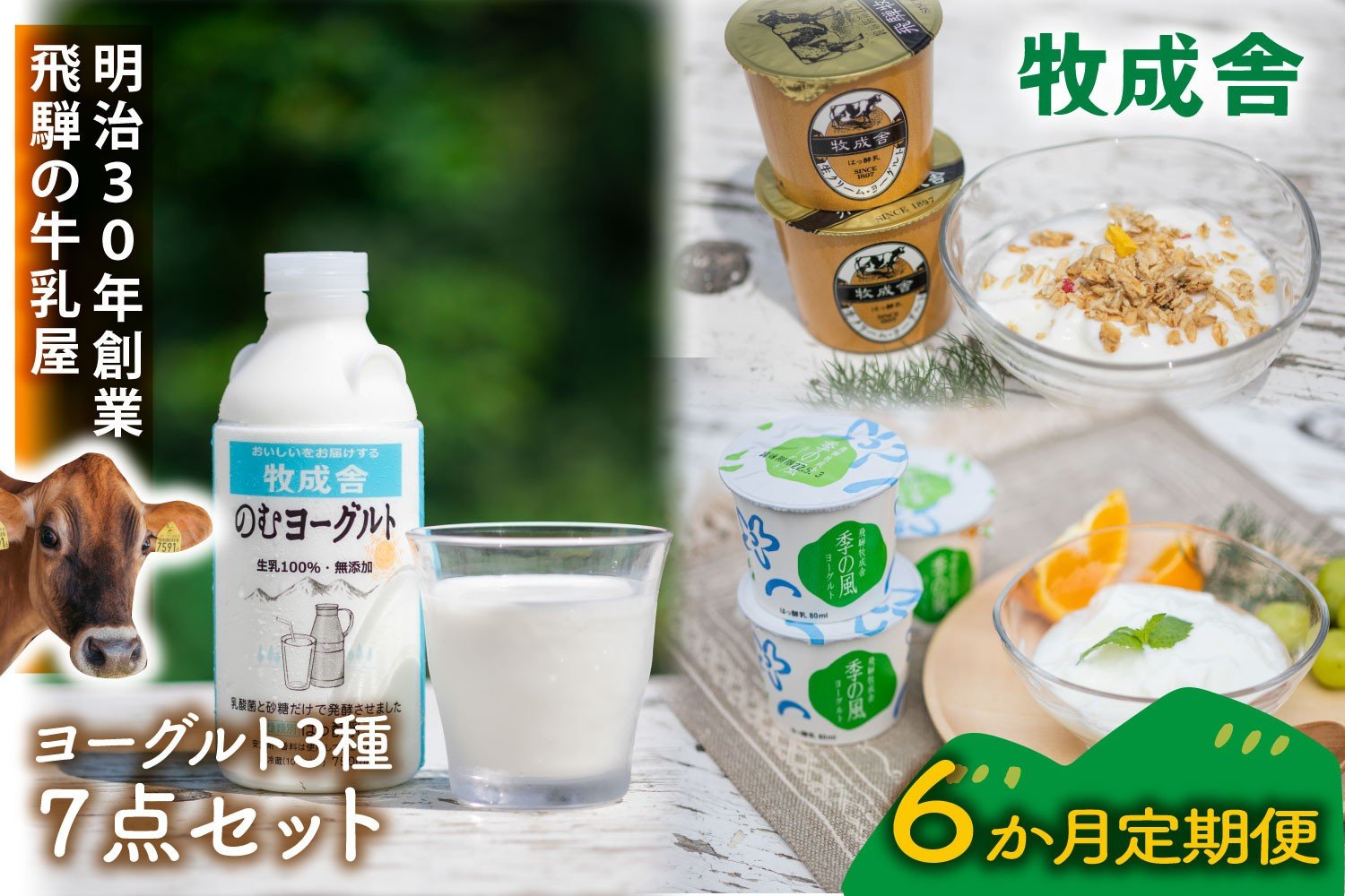 
            【6か月定期便】牧成舎のヨーグルト3種食べくらべセット｜ヨーグルト 乳製品 デザート 朝食 食生活 牧成舎DF213
          