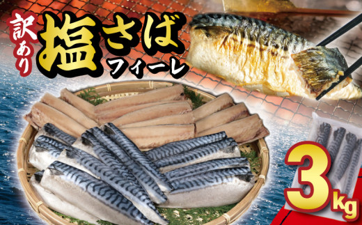 訳あり 塩サバフィーレ 約3kg ノルウェー産 冷凍 ｻﾊﾞ 鯖 塩サバ 塩鯖 海鮮 魚 大容量 規格外 不揃い 青魚 おかず 惣菜 魚介 おつまみ 弁当 人気 冷凍食品 グルメ 贈答 贈物 ギフト 長期保存 小分け お取り寄せ BBQ ふるさと納税 ふるさと納税サバ 送料無料 千葉県 銚子市 大一奈村魚問屋