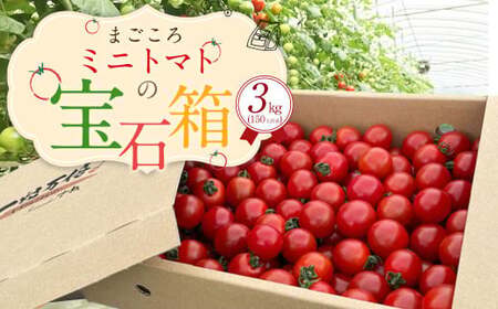 まごころ ミニトマト の 宝石箱 3.0kg (150玉前後) サンチェリーピュア【2026年7月上旬から11月下旬まで発送予定】