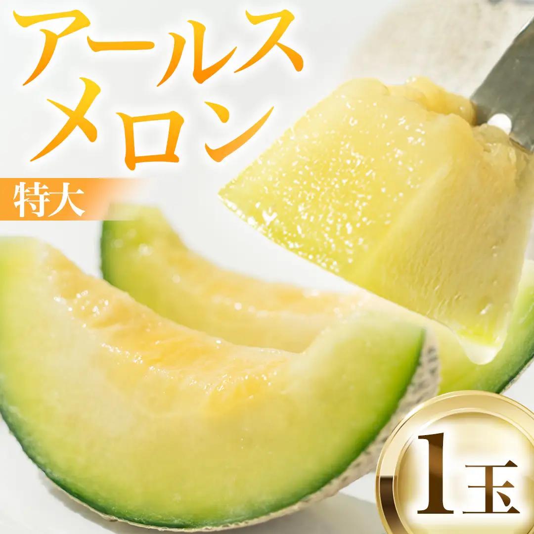 【2026年8月下旬発送開始】 季節 限定 ！ 甘さ満点 特大 アールスメロン 1個 箱 果物 フルーツ 農家直送 産直 青肉メロン 特産品 マスクメロン メロン くだもの 茨城 [BC005sa]