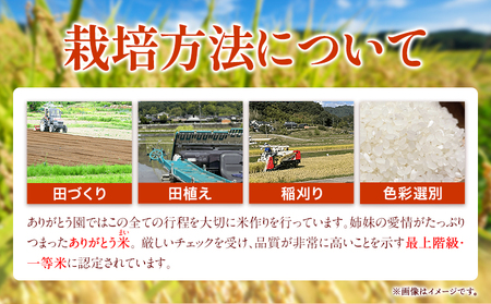 【6ヶ月定期便】令和5年産 米 岡山県産 きぬむすめ 無洗米 選べる 10kg ありがとう園《お申込み月の翌月から出荷開始》岡山県 矢掛町 無洗米 米 コメ 一等米 定期便 定期